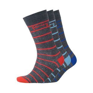 Money Mens Striped Socks (Pack of 3) / Charcoal Marl